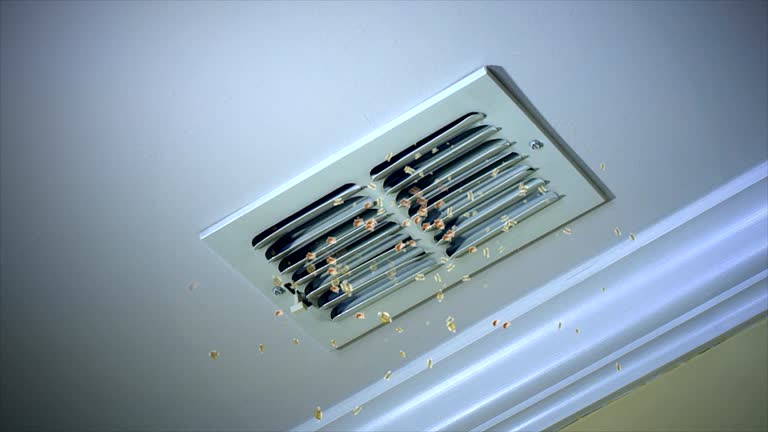 Best HVAC Duct Inspection Services  in Copperas Cove, TX