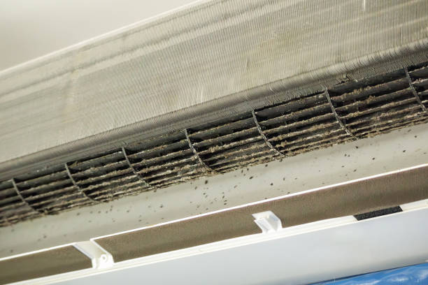 Best Best Air Duct Cleaning Company  in Copperas Cove, TX